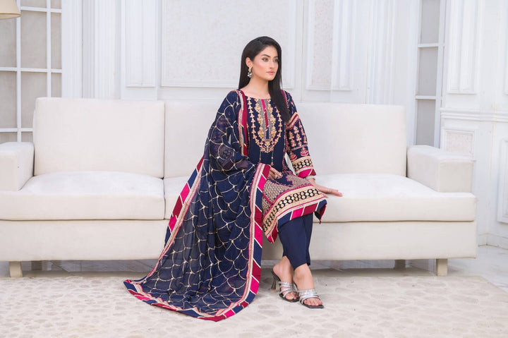 Blue Chiffon Shalwar Kameez with Multicolour Embroidery Sit Picture