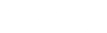 Zarveil | Logo White