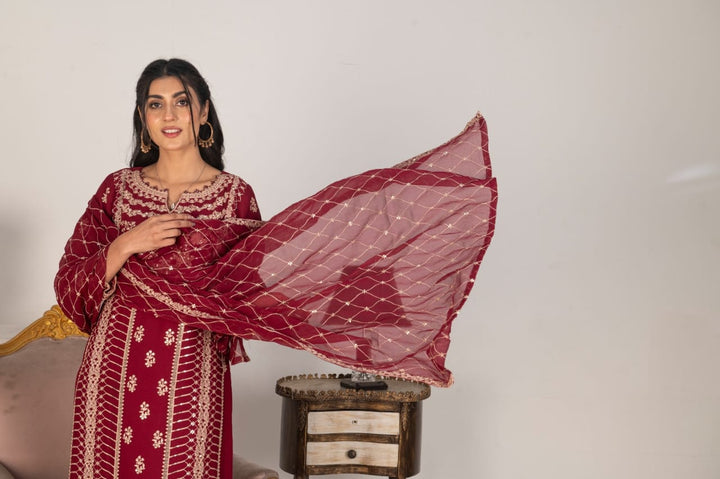 Woman wearing a magenta embroidered chiffon salwar kameez complete shot