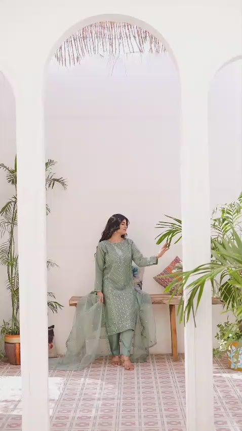 Woman wearing light green embroidered organza suit video