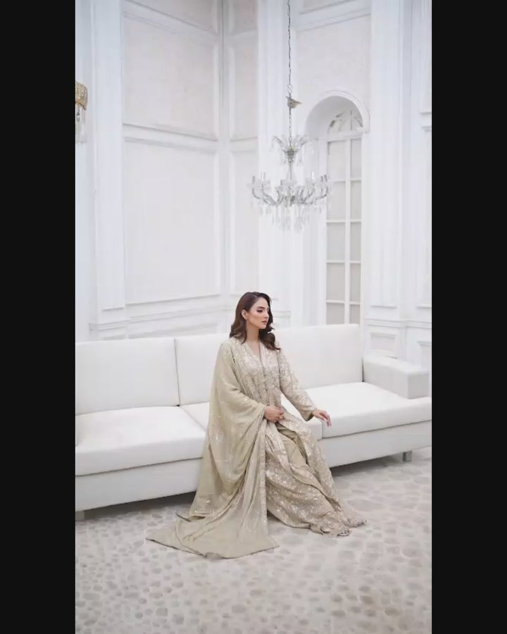 Fawn Chiffon Anarkali Front Open Gown Video